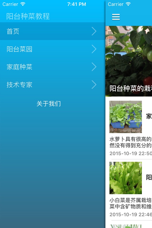 种菜达人家庭菜园DIY技术手册 - 家庭种菜方法，家人的健康菜园 screenshot 2