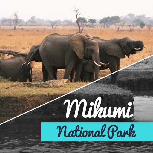 Mikumi National Park Travel Guide icon