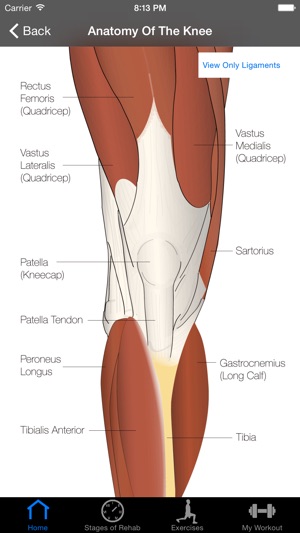 ACL Rehab(圖2)-速報App