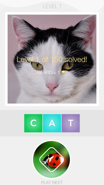 Blurry Pics - blurred objects photo puzzle