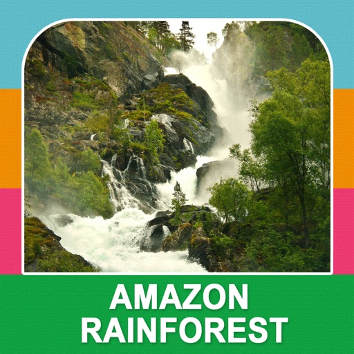 Amazon Rainforest