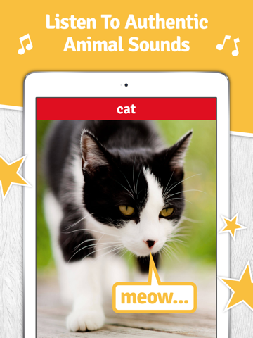 SO Animals - HD Interactive Animal Flash Cards & Sounds screenshot 4