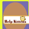 Help Kittens