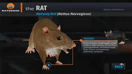 Game screenshot Ratsense apk