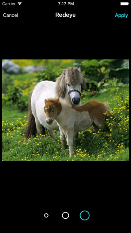 Camera Tune screenshot-4