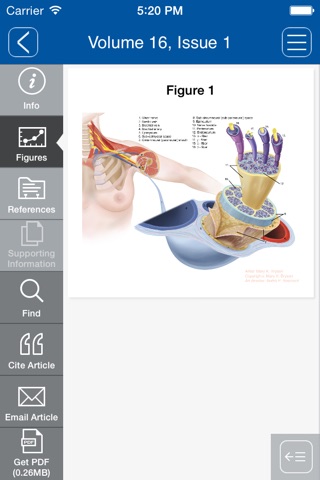 Pain Medicine screenshot 3