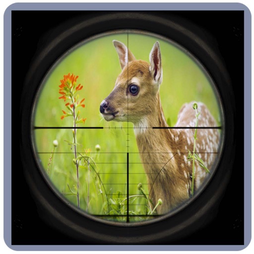 Stag Hunting In Jungle iOS App