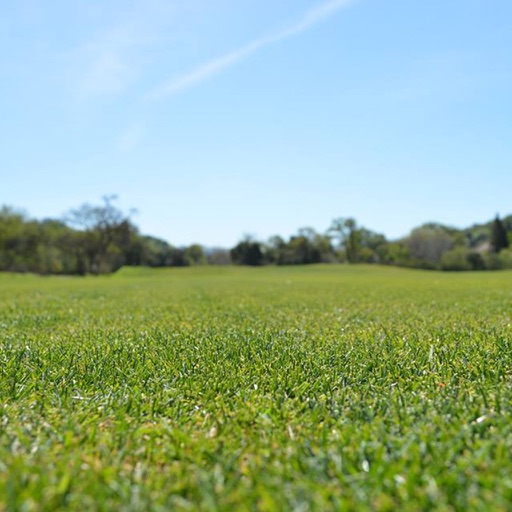 Castlewood Country Club CA icon