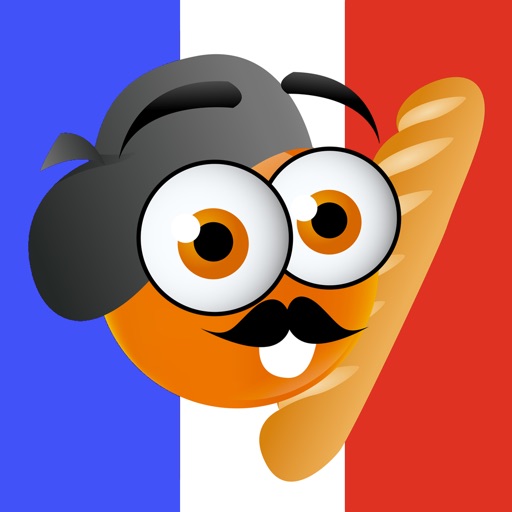 iTooch French as a Foreign Language icon