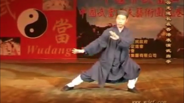 Teach Yourself Tai Chi screenshot-3