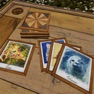 Get Animals Memo - Board memory game for iOS, iPhone, iPad Aso Report