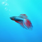 Top 48 Entertainment Apps Like Aquarium Builder: My Pet Fish Tank Maker - Best Alternatives