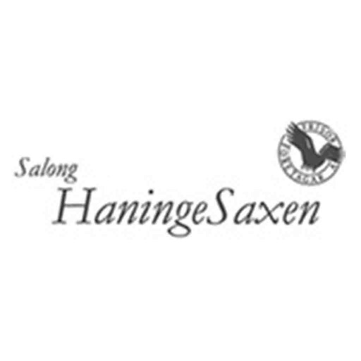 Salong Haninge Saxen