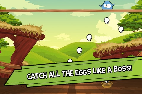 Birdy & Eggs screenshot 2