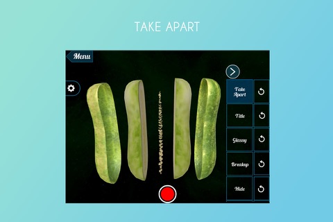 Cucumber 3D screenshot 2