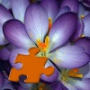 Flowers Puzzles