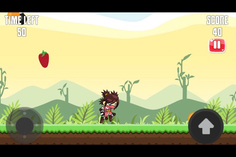 Ninja Hero - Fruit Catcher screenshot 3
