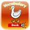 English Learn Vocabulary For Kids : Pets