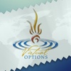 virtualoptions