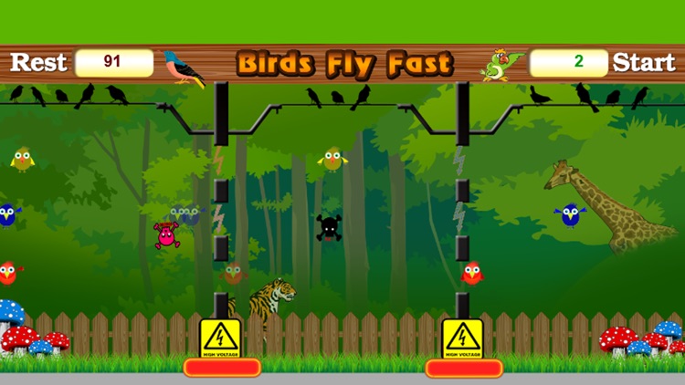 Birds Fly Fast - Free Game for Kids screenshot-4