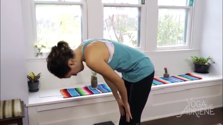 Yoga Studio 2016