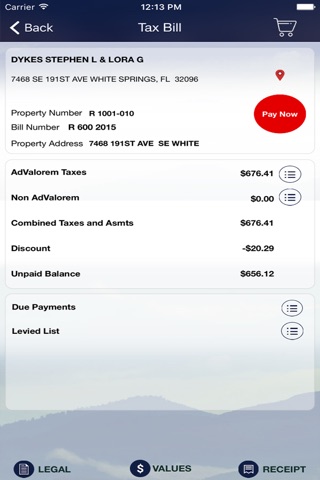 Hamilton County Tax Collector screenshot 4