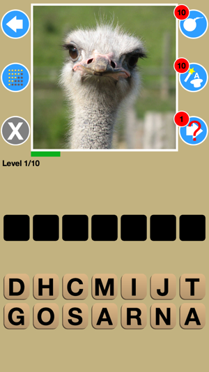 Big Bird Watchers Quiz Maestro: Ornithology Watching Word Tr(圖4)-速報App