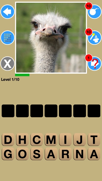 Big Bird Watchers Quiz Maestro: Ornithology Watching Word Trivia screenshot-3