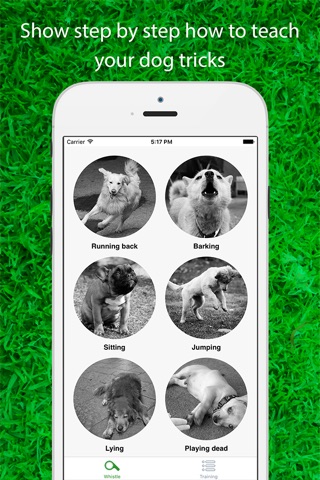 Dog Whistler : A Step by Step Guide to Teaching Your Puppy and Dog clicker sound screenshot 2