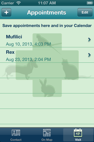 Dr. med. vet. Martin Mayer - Veterinarian, vet for small animals screenshot 4