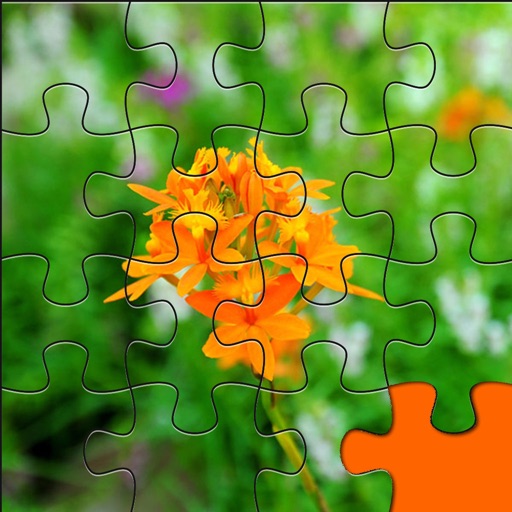 Jigsaw Orchid, Rose, Sunflowers & Daisies - Flowers For All iOS App