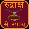 Rudraksha Guide in Hindi