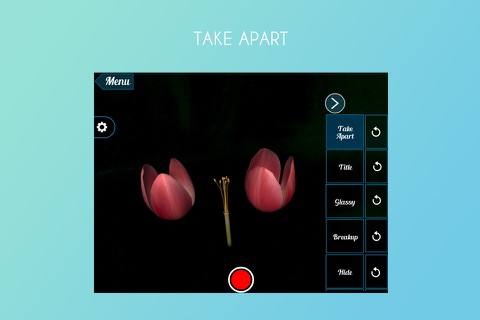 Tulip 3D screenshot 2