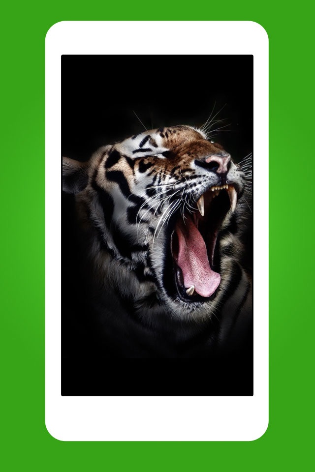 Animals - Cute Animal Wallpapers & Wild Life Backgrounds screenshot 3