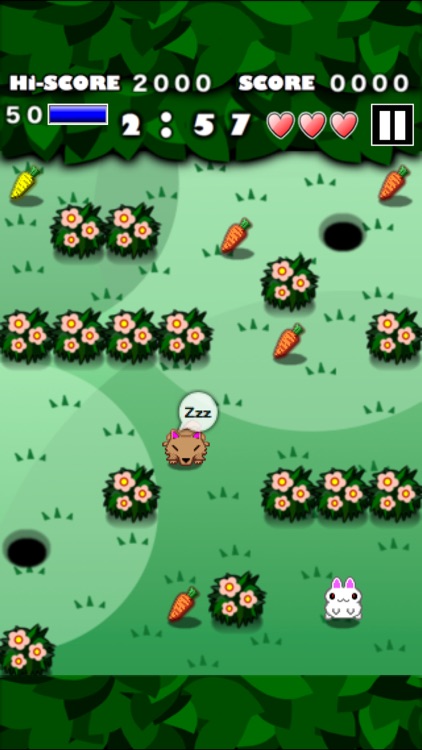 Rabbit MAZE Free screenshot-4