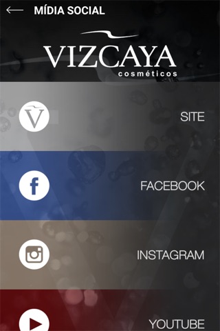 Vizcaya screenshot 4