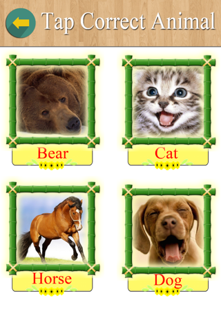 Smart Kiddos - Learn Animals, Fruits, Vegetables, Body Parts, Vehicles screenshot 3