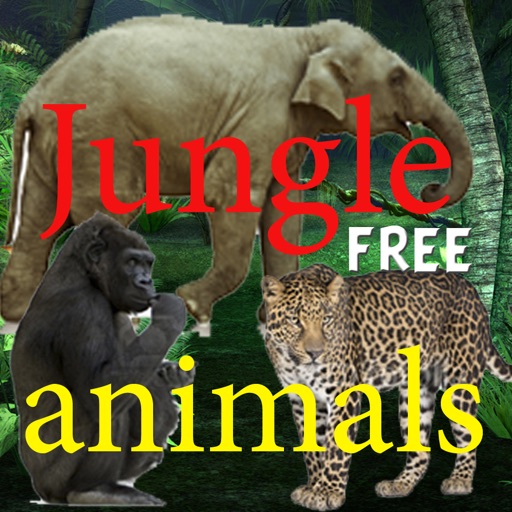 Jungle animals Free iOS App