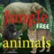 Jungle animals Free