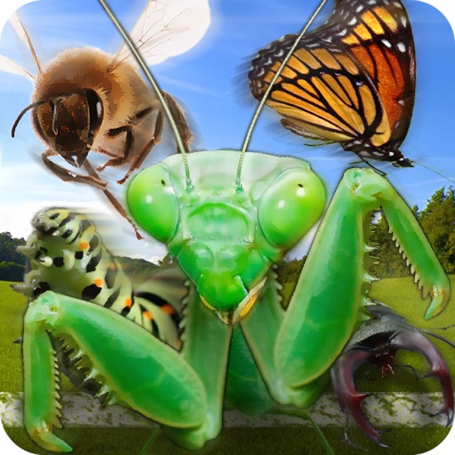 Insect Race iOS App