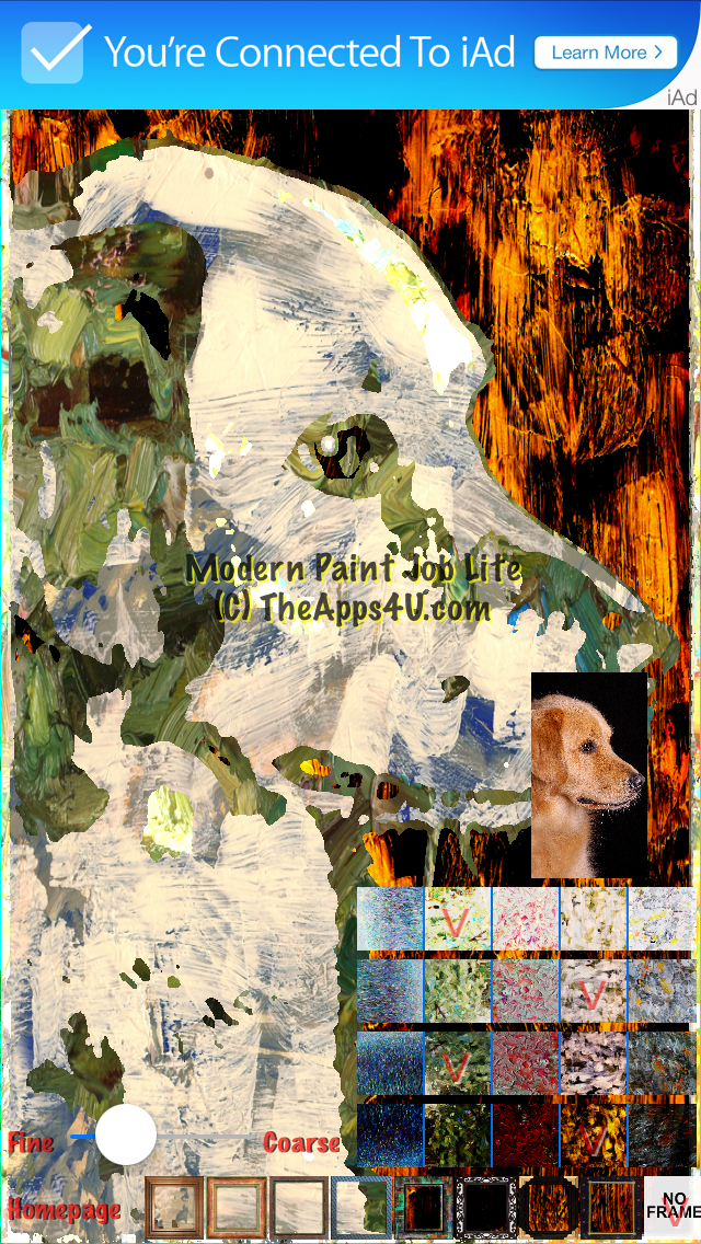 Modern Paint Job Lite