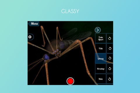Mosquito 3D screenshot 4