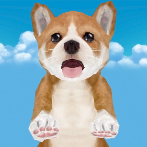 Puppy Race for Kids First Steps Icon