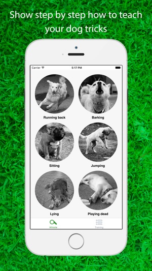 Dog Whistler Free: A Step by Step Guide to Teaching Your Pup(圖2)-速報App