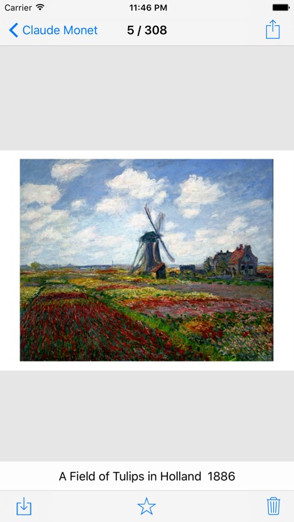 Monet 308 Paintings HD