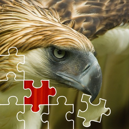 Birds Jigsaw Puzzles iOS App