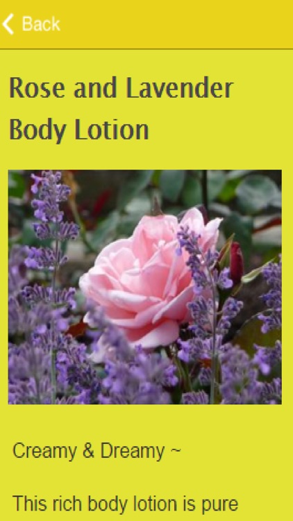 How To Make Lotion
