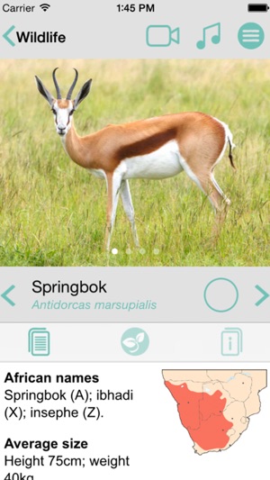 Sasol Wildlife for Beginners (Full): Quick facts, photos and(圖3)-速報App