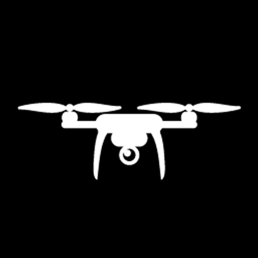 Trivia Drone Icon