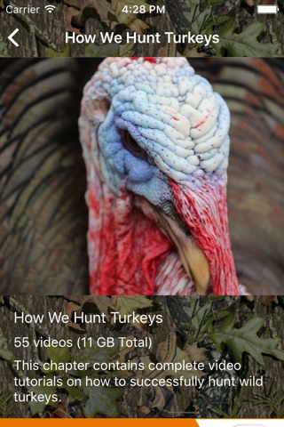 Wild Turkey Hunter Pro screenshot 2